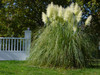 French property for sale in Sanilhac, Dordogne - €340,425 - thumbnail 9