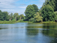 Lacs à vendre à Passais Villages, Orne - 450 500 € - photo 2