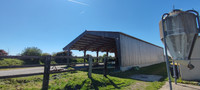 Maison à vendre à Trévières, Calvados - 862.972 € - photo 6