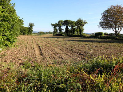 Terrain à vendre à Landeleau, Finistère, Bretagne, avec Leggett Immobilier
