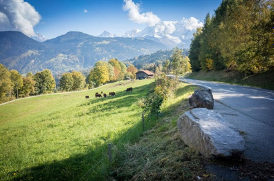 Ski property for sale in  - 312 000 € - photo 2