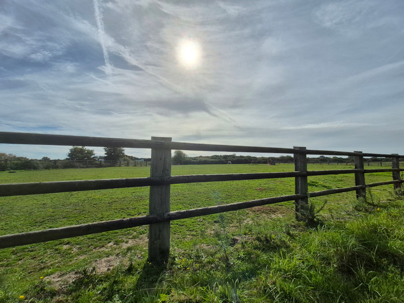 French property for sale in Guenrouet, Loire-Atlantique - €954,000 - photo 4