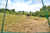 French property for sale in Saint-Pastour, Lot-et-Garonne - €214,000 - thumbnail 9