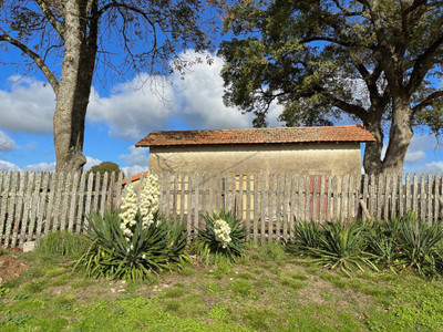 French property for sale in Chabrac, Charente - €42,500 - photo 3