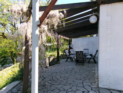 French property for sale in Availles-Limouzine, Vienne - €194,400 - photo 3