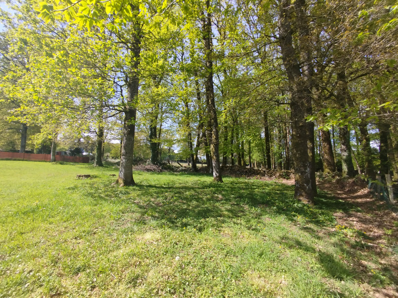 French property for sale in Romagny Fontenay, Manche - €36,600 - photo 3