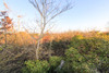 French property for sale in Asnières-la-Giraud, Charente-Maritime - €83,930 - thumbnail 9