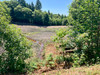 French property for sale in Marval, Haute-Vienne - €315,000 - thumbnail 9