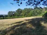 Propriété à vendre à Saint-Gravé, Morbihan - 50 000 € - photo n°14