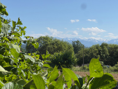 French property for sale in Trie-sur-Baïse, Hautes-Pyrénées - €420,000 - photo 2