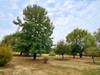 French property for sale in Saint-Pé-Saint-Simon, Lot-et-Garonne - €182,000 - thumbnail 14