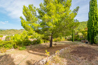 French property, houses and homes for sale in Lagrasse Aude Languedoc_Roussillon