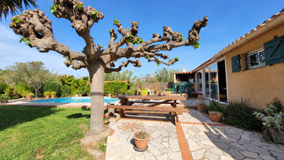 French property for sale in Villelongue-de-la-Salanque, Pyrénées-Orientales - €399,000 - photo 5