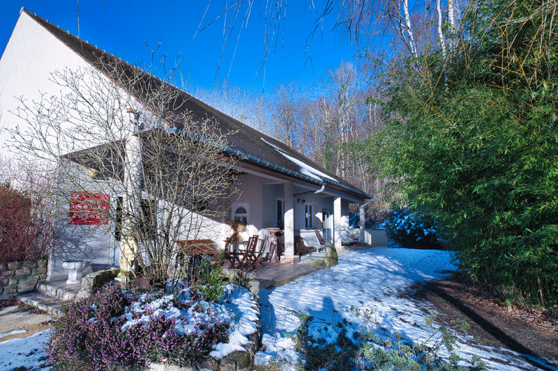 French property for sale in Béthemont-la-Forêt, Val-d'Oise - €1,755,000 - photo 4