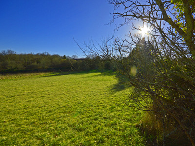 French property for sale in Saint-Germain-des-Prés, Dordogne - €83,500 - photo 3