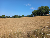 Terrain à vendre à Saint-Clément, Corrèze - 51.600 € - photo 3