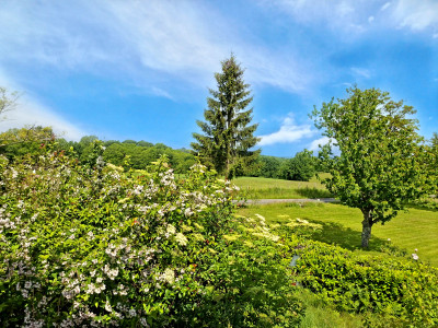 French property for sale in Champagnac-la-Rivière, Haute-Vienne - €109,000 - photo 6