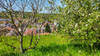 French property for sale in Sarlat-la-Canéda, Dordogne - €315,000 - thumbnail 14