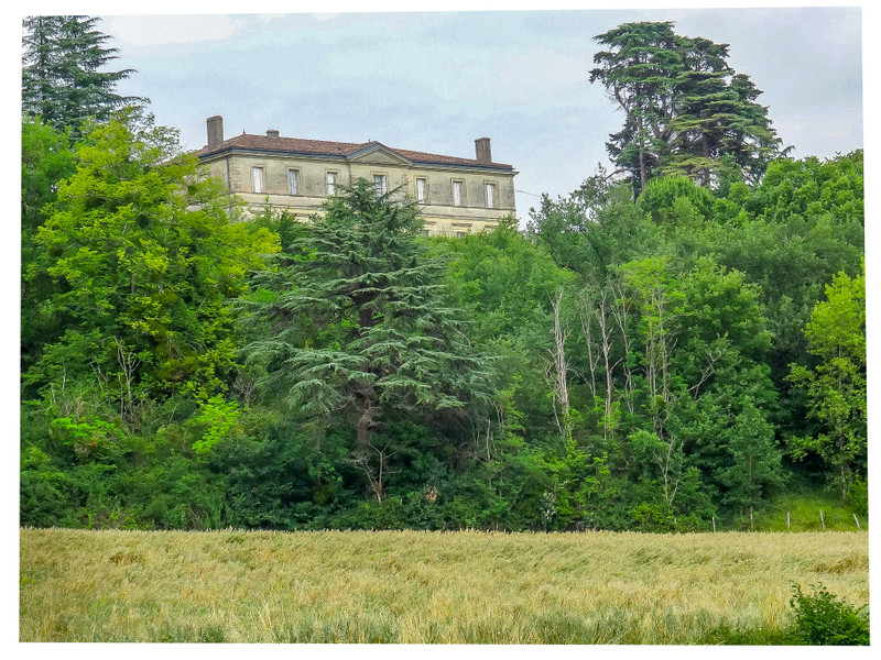 French property for sale in Sauveterre-de-Guyenne, Gironde - &#8364;1,060,000 - photo 10