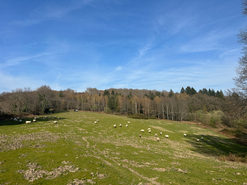 French property for sale in Marval, Haute-Vienne - €455,800 - photo 2