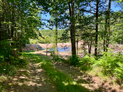 French property for sale in La Chapelle-Montbrandeix, Haute-Vienne - €715,700 - photo 4