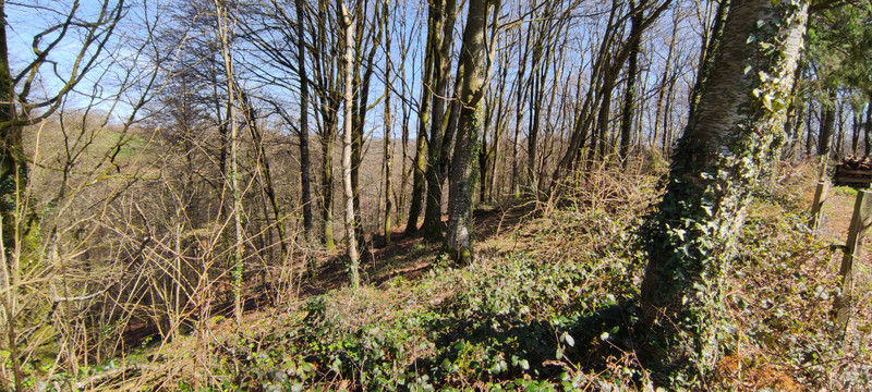 French property for sale in Chérencé-le-Héron, Manche - €95,700 - photo 9