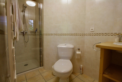 Ski property for sale in Saint Gervais - €825,000 - photo 12