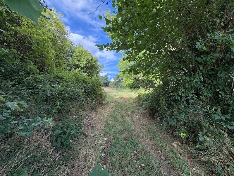 French property for sale in La Porcherie, Haute-Vienne - €98,700 - photo 6