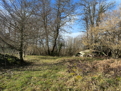 French property for sale in Marval, Haute-Vienne - €29,600 - photo 11