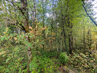 Terrain à vendre à Eyzerac, Dordogne - 31.600 € - photo 8