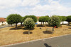 French property for sale in Béthines, Vienne - €83,472 - thumbnail 9