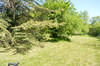 French property for sale in Nérac, Lot-et-Garonne - €420,000 - thumbnail 9