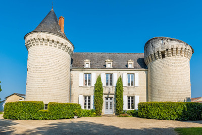 En sud Val de Loire, château rénové tout confort ayant conservé des éléments anciens dans un grand parc boisé