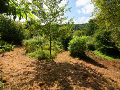 French property for sale in Payzac, Dordogne - €41,600 - photo 9