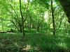 French property for sale in Espagnac, Corrèze - €48,750 - thumbnail 13