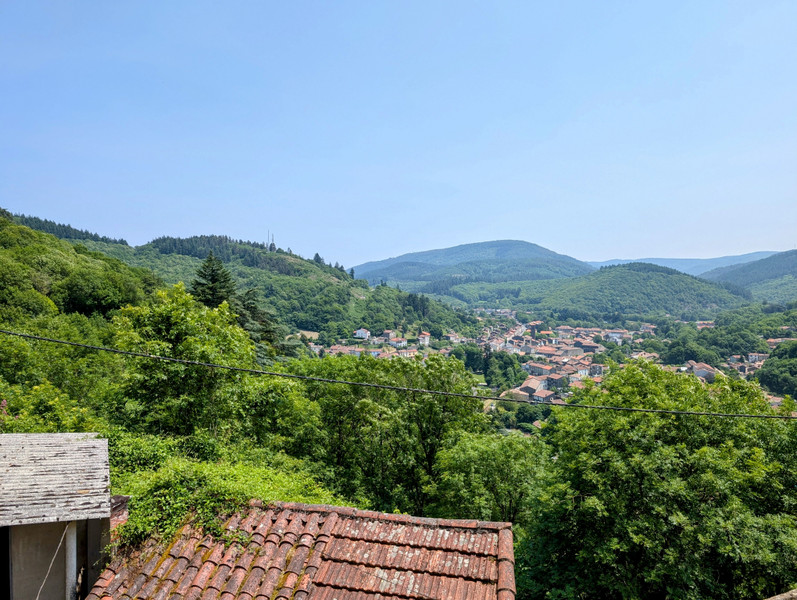 French property for sale in Labastide-Rouairoux, Tarn - €31,600 - photo 12