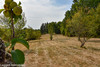 French property for sale in Juillac, Corrèze - €250,000 - thumbnail 9