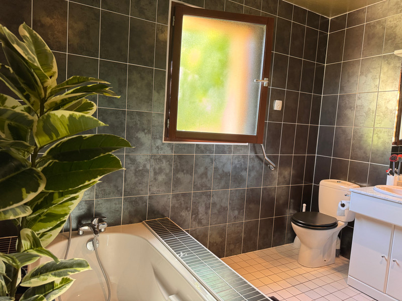 French property for sale in Oriolles, Charente - €240,750 - photo 5