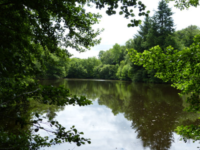 Lacs à vendre à Montrollet, Charente, Poitou-Charentes, avec Leggett Immobilier