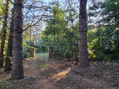 French property for sale in Olargues, Hérault - €60,000 - photo 2