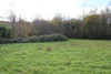 French property for sale in Thonac, Dordogne - €75,210 - thumbnail 12
