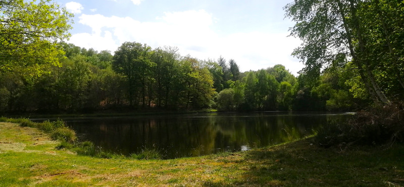 French property for sale in Cussac, Haute-Vienne - €56,600 - photo 5
