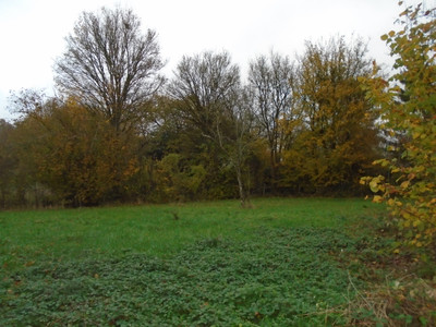 French property for sale in Payroux, Vienne - €66,600 - photo 2