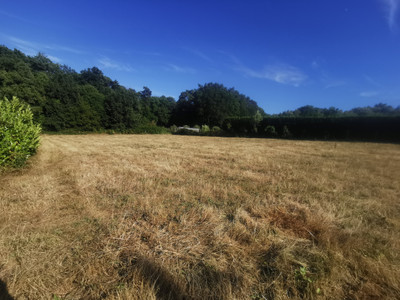 French property for sale in Saint-Gravé, Morbihan - €50,000 - photo 3