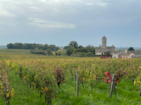 Commerce à vendre à Saint-Émilion, Gironde - 4.500.000 € - photo 2