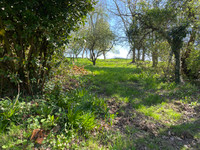 Maison à vendre à Saint-Aubin-de-Terregatte, Manche - 77.000 € - photo 8
