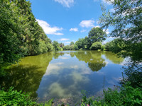 Lacs à vendre à Charchigné, Mayenne - 588 000 € - photo 8