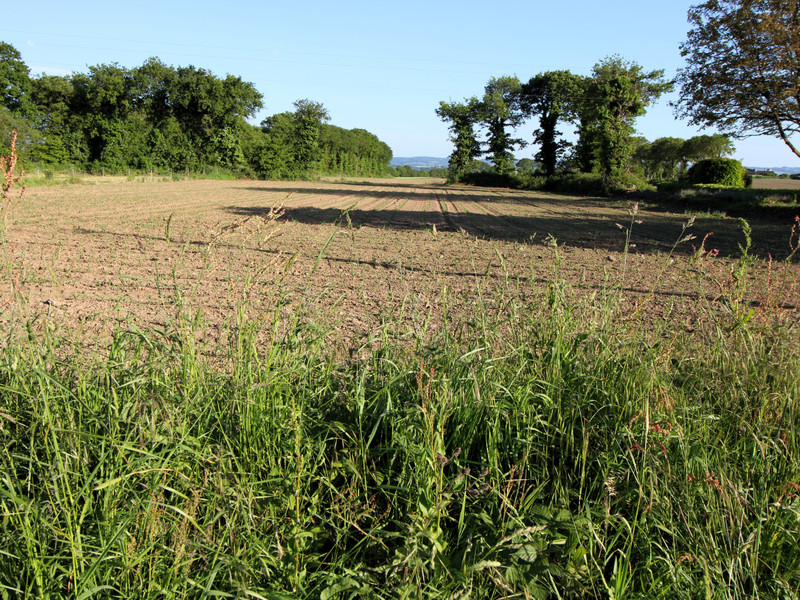 French property for sale in Landeleau, Finistère - €17,000 - photo 1