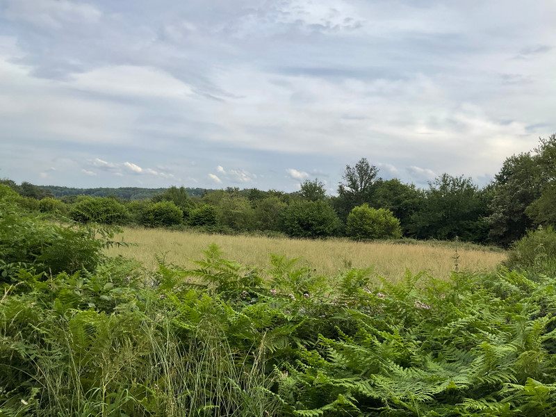 French property for sale in Saint-Hilaire-la-Plaine, Creuse - €172,800 - photo 13