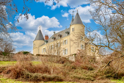 Chateau à vendre à Gillonnay, Isère, Rhône-Alpes, avec Leggett Immobilier